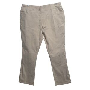 Blair Womens Tan Khaki Pull On Stretch Straight Leg Pants Size 20 Plus B12467